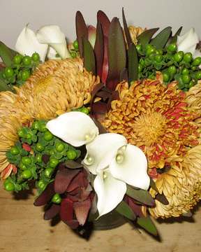 fall flowers